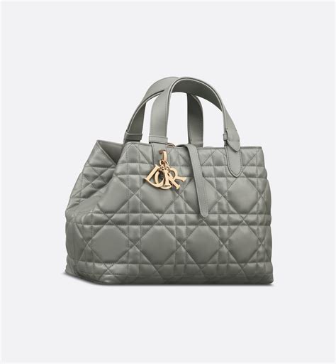 dior m19 bag|Medium Dior Toujours Bag.